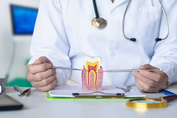 Best Emergency Root Canal Treatment in Bunker Hl, IL